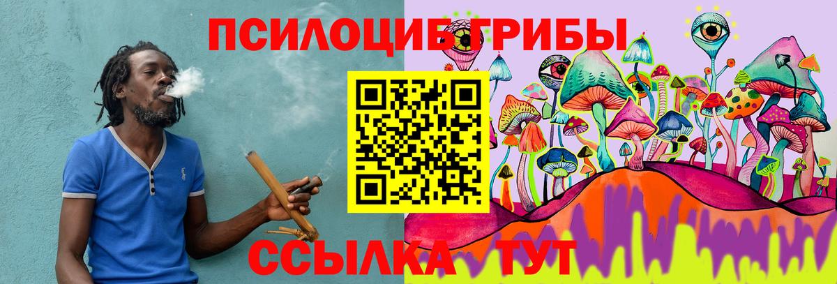 Борзя  Псилоцибиновые грибы Magic Shrooms  Вход с VPN 