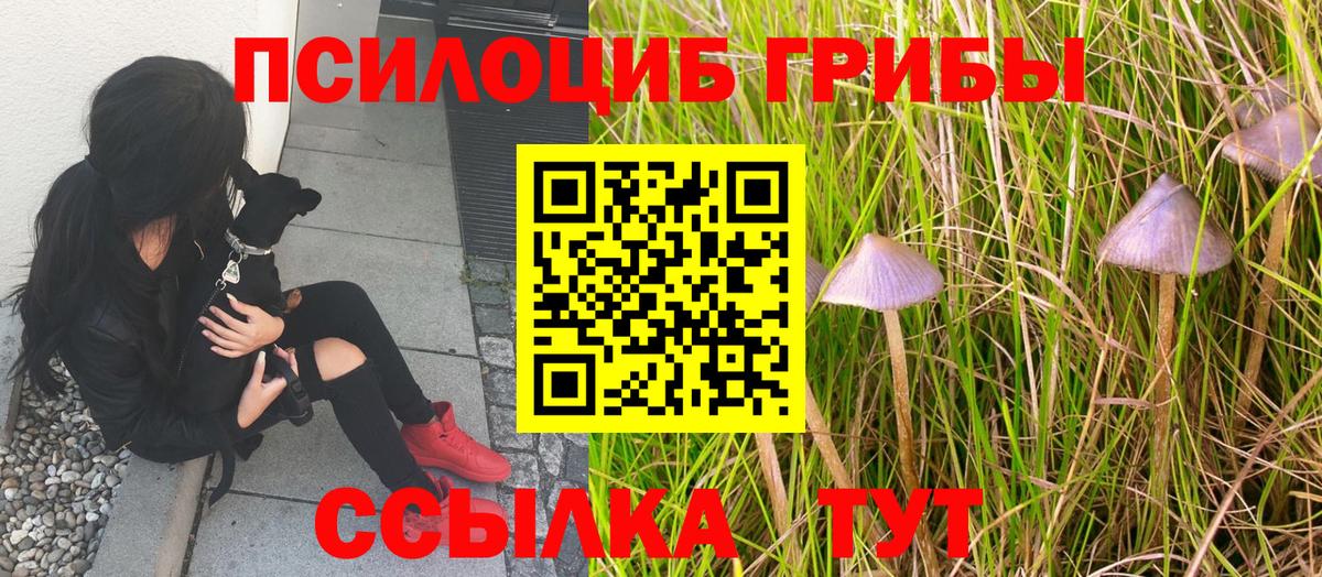 Галлюциногенные грибы прущие грибы Борзя